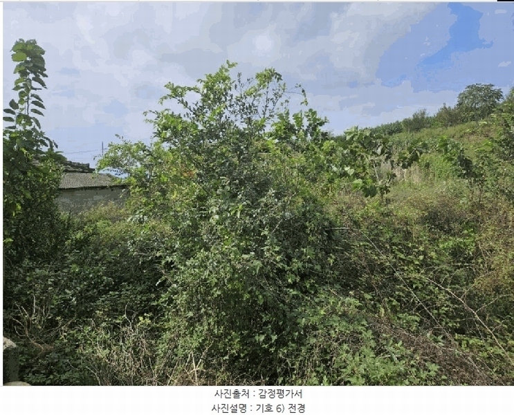 2024타경9594 경상북도 영천시 범어동 632 과수원 경매 이미지
