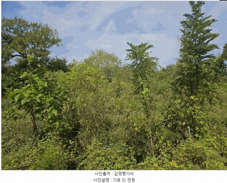 2024타경9594 경상북도 영천시 범어동 632 과수원 경매 이미지