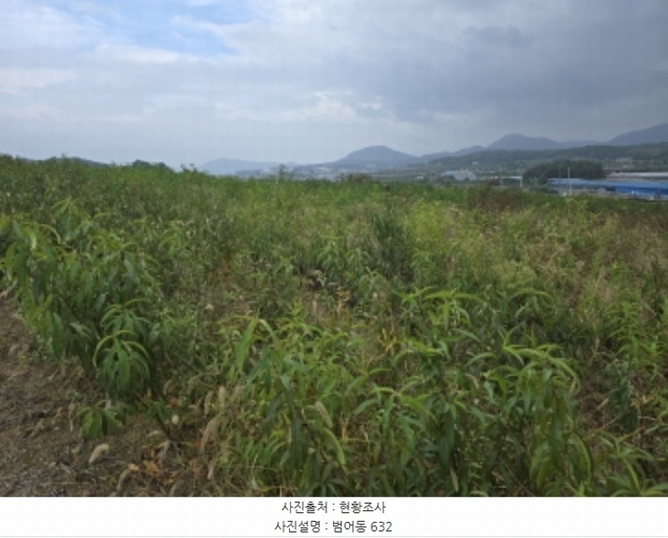 2024타경9594 경상북도 영천시 범어동 632 과수원 경매 이미지