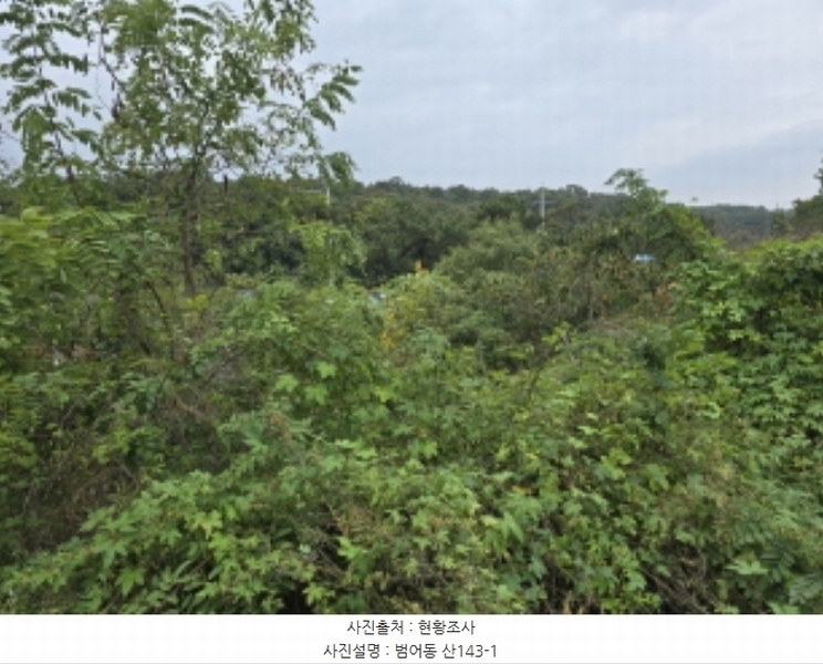 2024타경9594 경상북도 영천시 범어동 632 과수원 경매 이미지