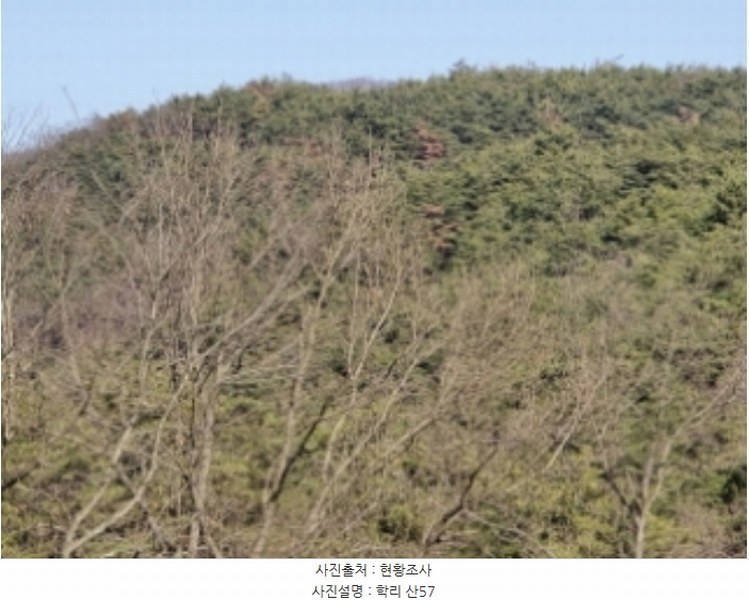 2024타경10334 경상북도 영천시 고경면 학리 산57 임야 경매 이미지