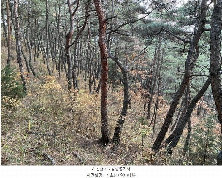 2024타경10334 경상북도 영천시 고경면 학리 산57 임야 경매 이미지