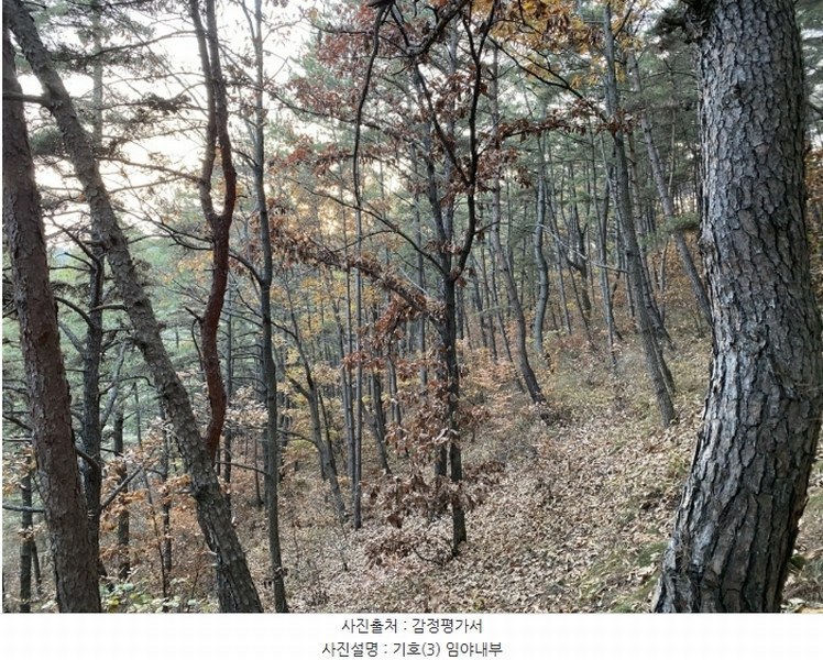 2024타경10334 경상북도 영천시 고경면 학리 산57 임야 경매 이미지