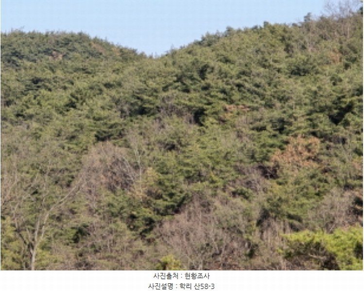 2024타경10334 경상북도 영천시 고경면 학리 산57 임야 경매 이미지