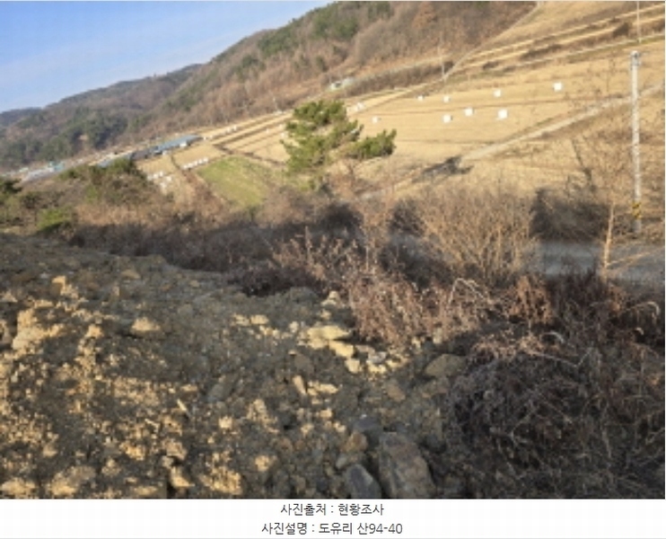 2024타경10549 경상북도 영천시 북안면 도유리 산94-9 임야 경매 이미지