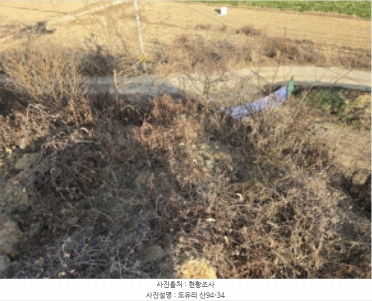2024타경10549 경상북도 영천시 북안면 도유리 산94-9 임야 경매 이미지