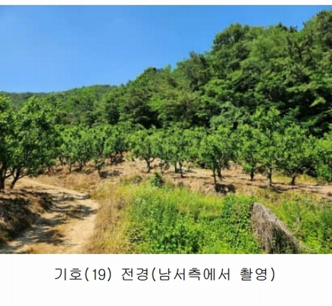 2024타경108125 경상북도 청도군 매전면 남양리 413 농지 경매 이미지