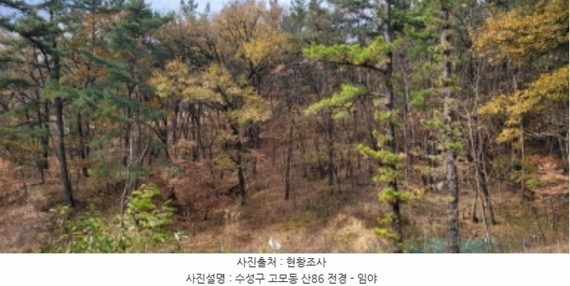 2024타경121630 대구광역시 수성구 고모동 산86 임야 경매 이미지