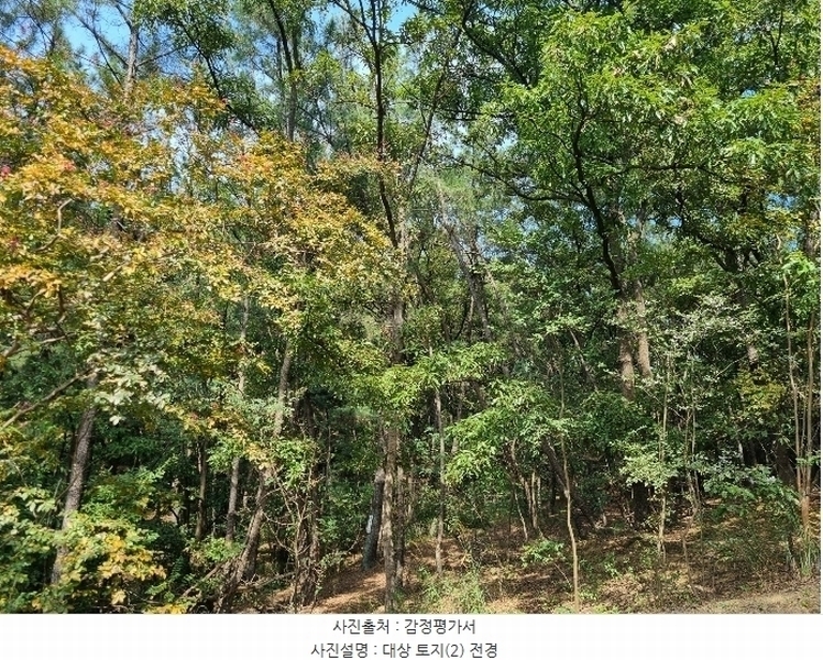 2024타경121630 대구광역시 수성구 고모동 산86 임야 경매 이미지