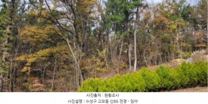2024타경121630 대구광역시 수성구 고모동 산86 임야 경매 이미지