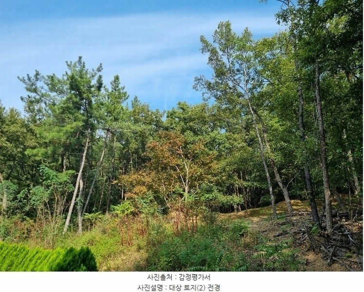 2024타경121630 대구광역시 수성구 고모동 산86 임야 경매 이미지