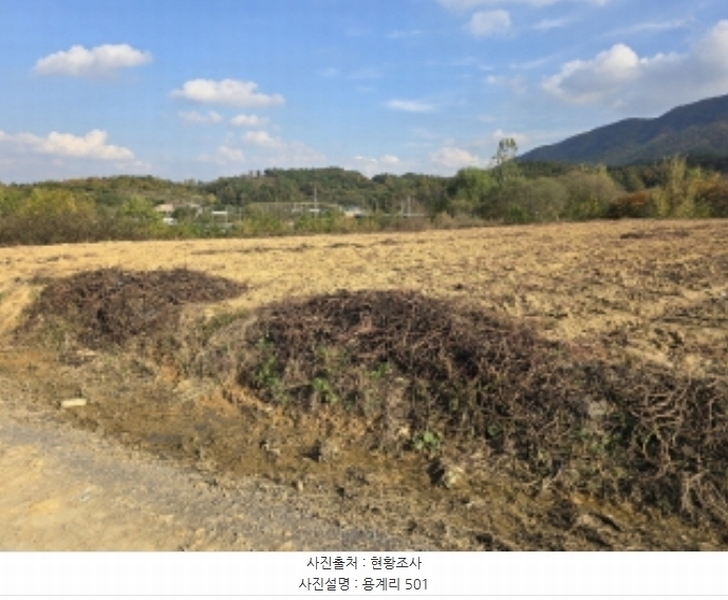 2024타경124998 경상북도 영천시 북안면 용계리 501 농지 경매 이미지