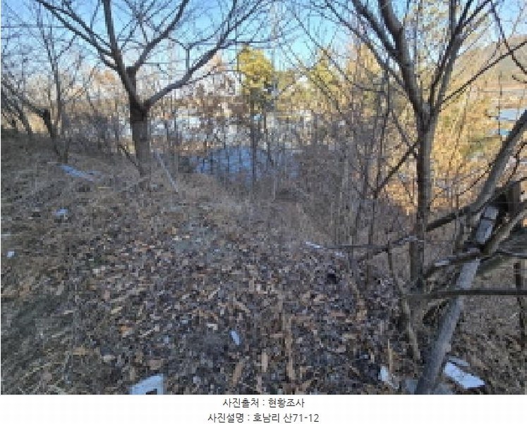 2025타경5179 경상북도 영천시 금호읍 호남리 436-3 임야 경매 이미지