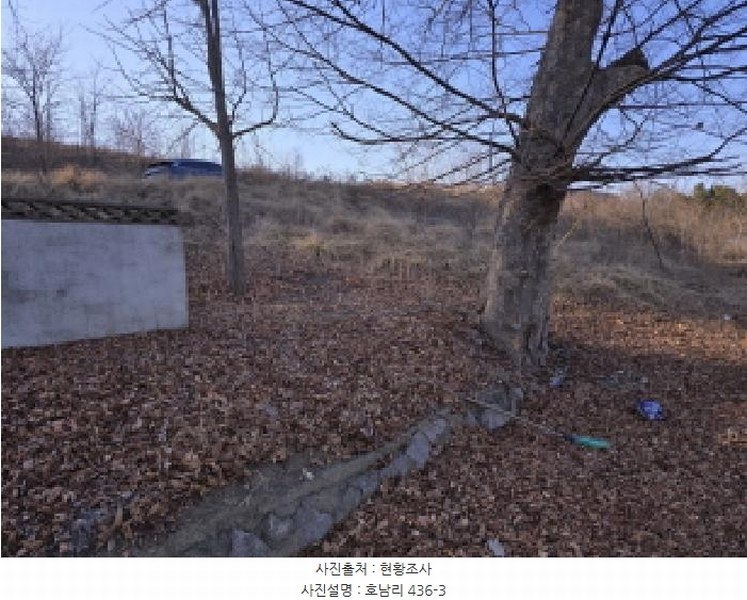 2025타경5179 경상북도 영천시 금호읍 호남리 436-3 임야 경매 이미지