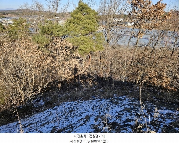 2025타경5179 경상북도 영천시 금호읍 호남리 436-3 임야 경매 이미지