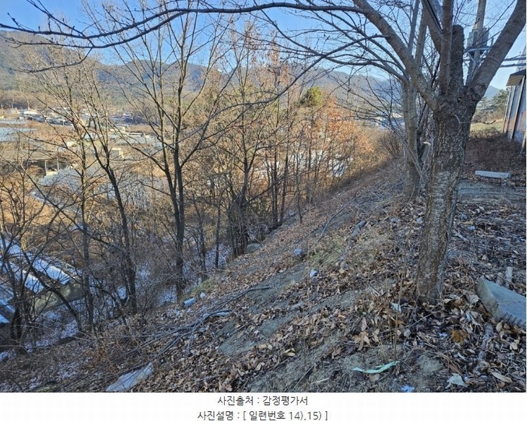 2025타경5179 경상북도 영천시 금호읍 호남리 436-3 임야 경매 이미지