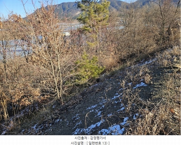 2025타경5179 경상북도 영천시 금호읍 호남리 436-3 임야 경매 이미지