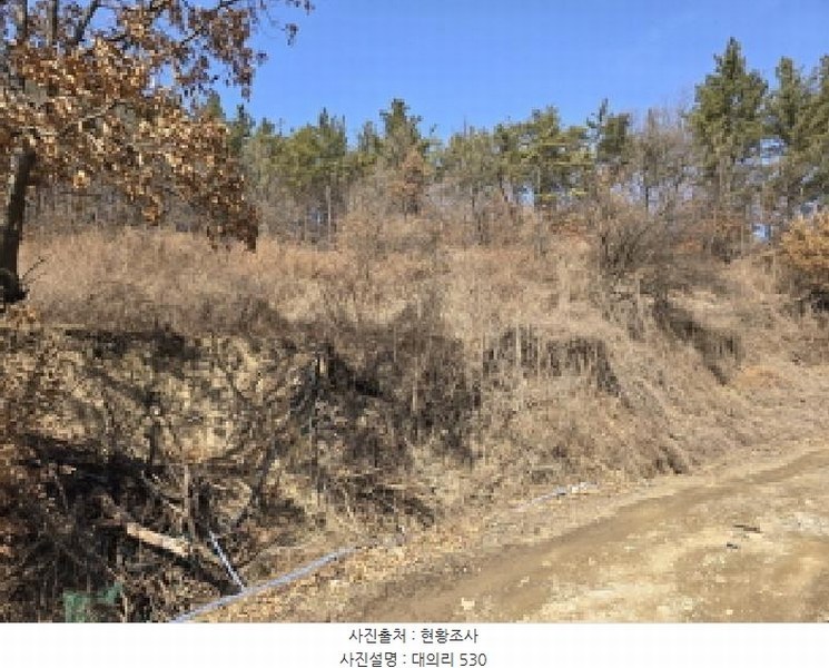 2025타경5704 경상북도 영천시 고경면 대의리 530 농지 경매 이미지