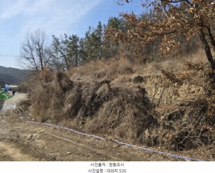 2025타경5704 경상북도 영천시 고경면 대의리 530 농지 경매 이미지
