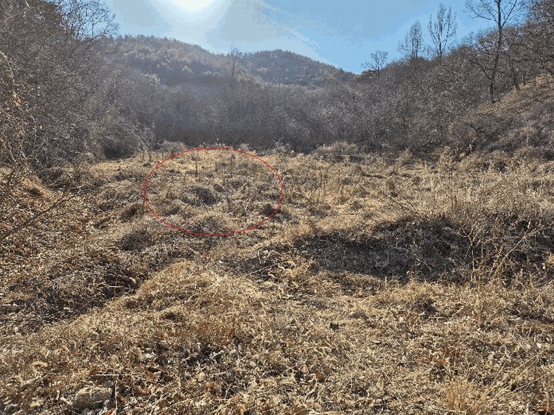 2025타경7252 경상북도 영천시 화남면 온천리 391 농지 경매 이미지