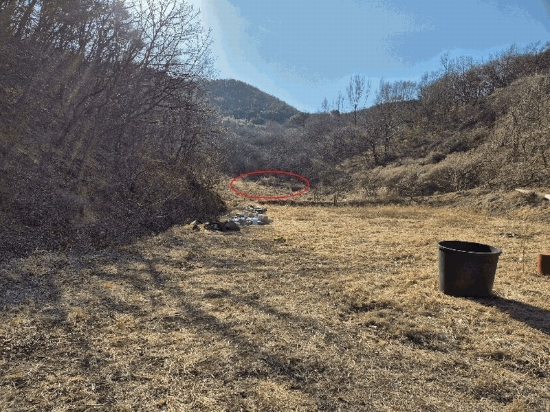 2025타경7252 경상북도 영천시 화남면 온천리 391 농지 경매 이미지
