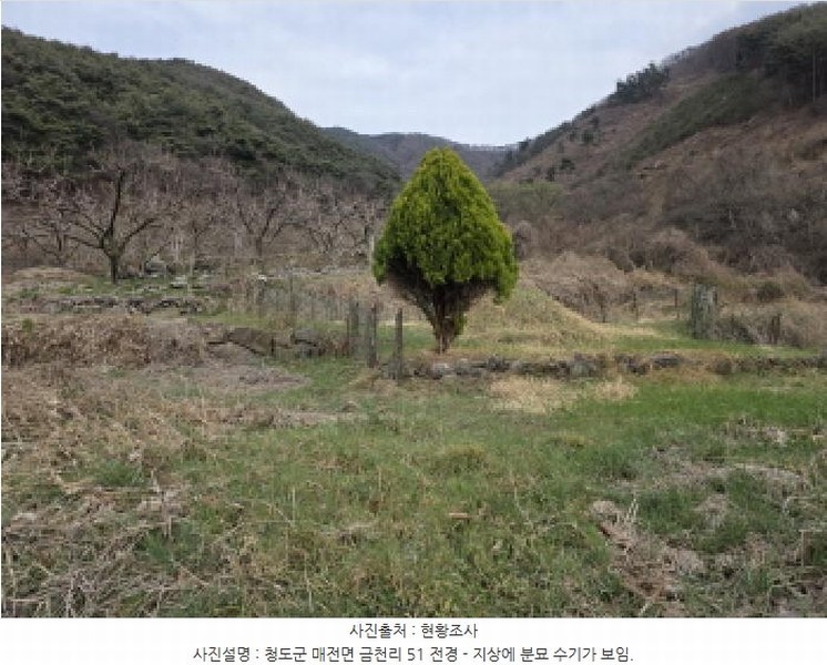 2025타경7283 경상북도 청도군 매전면 금천리 51 농지 경매 이미지