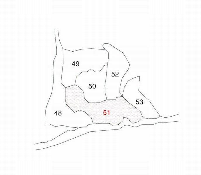 2025타경7283 경상북도 청도군 매전면 금천리 51 농지 경매 이미지