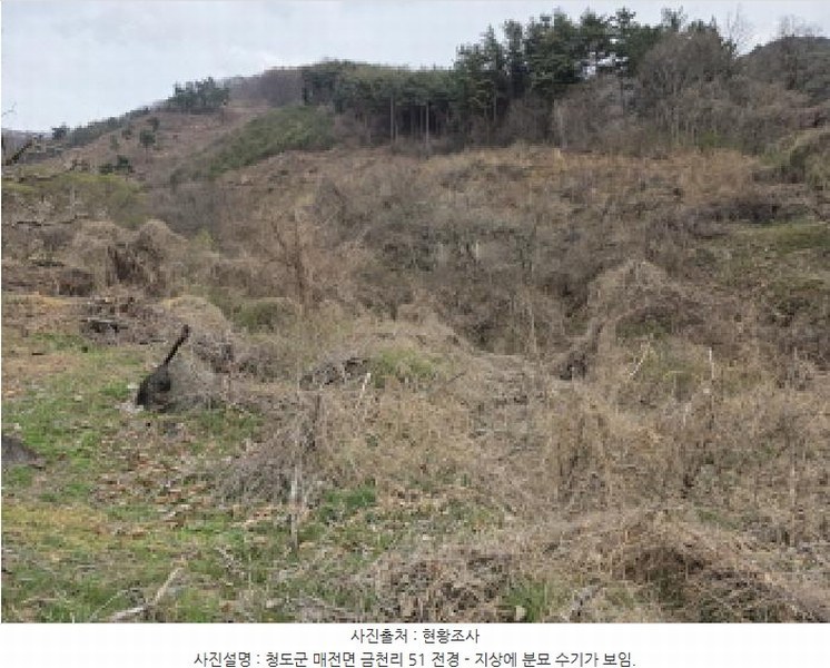 2025타경7283 경상북도 청도군 매전면 금천리 51 농지 경매 이미지