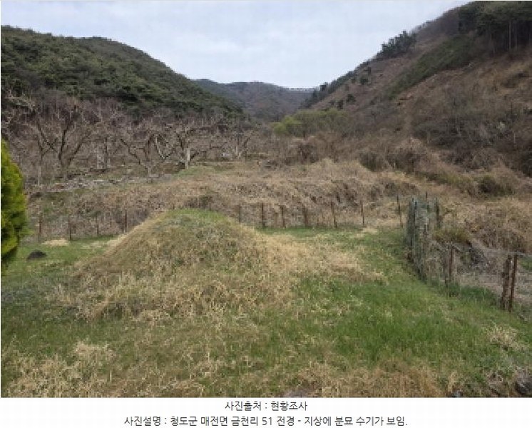 2025타경7283 경상북도 청도군 매전면 금천리 51 농지 경매 이미지