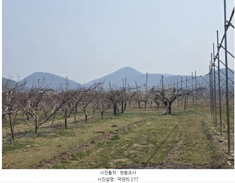 2025타경7576 경상북도 영천시 임고면 덕연리 279 농지 경매 이미지
