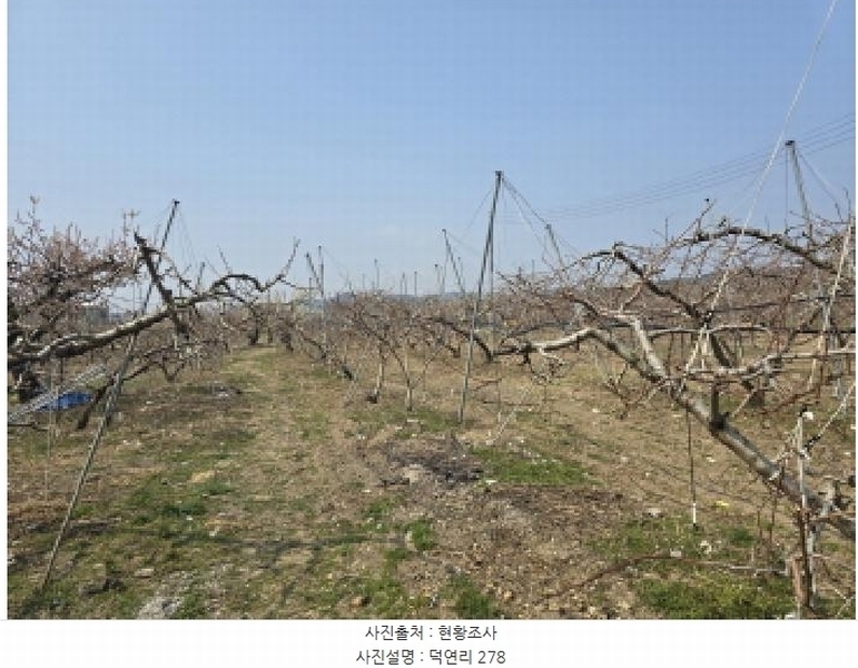 2025타경7576 경상북도 영천시 임고면 덕연리 279 농지 경매 이미지