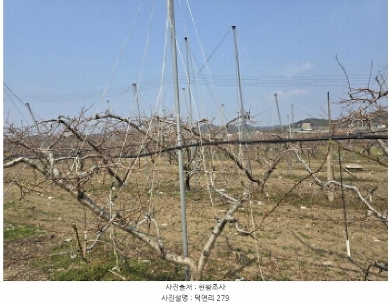 2025타경7576 경상북도 영천시 임고면 덕연리 279 농지 경매 이미지