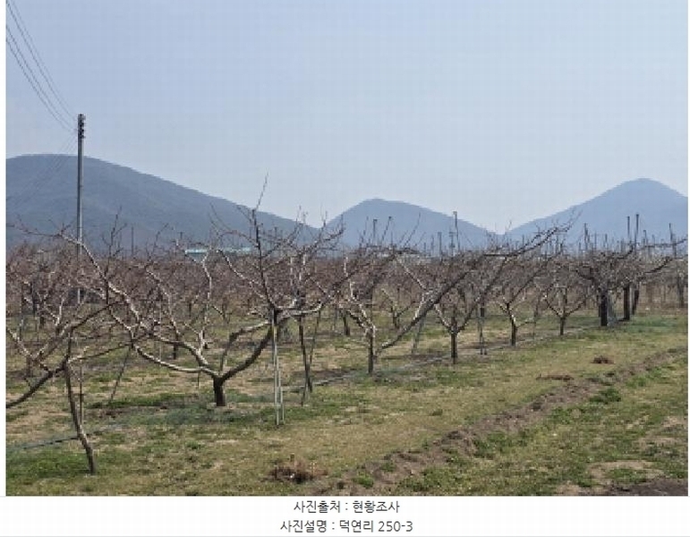 2025타경7576 경상북도 영천시 임고면 덕연리 279 농지 경매 이미지
