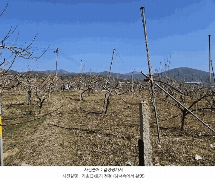 2025타경7576 경상북도 영천시 임고면 덕연리 279 농지 경매 이미지