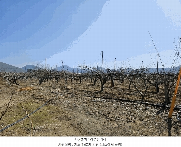 2025타경7576 경상북도 영천시 임고면 덕연리 279 농지 경매 이미지