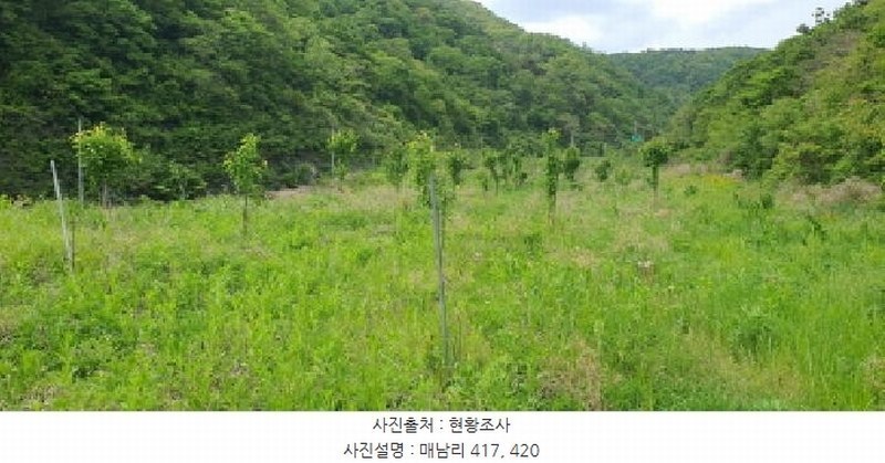2025타경7609 경상북도 경산시 용성면 매남리 417 농지 경매 이미지