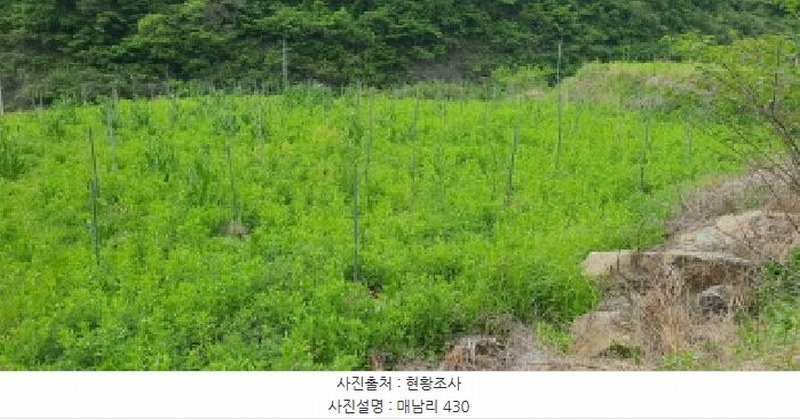 2025타경7609 경상북도 경산시 용성면 매남리 417 농지 경매 이미지