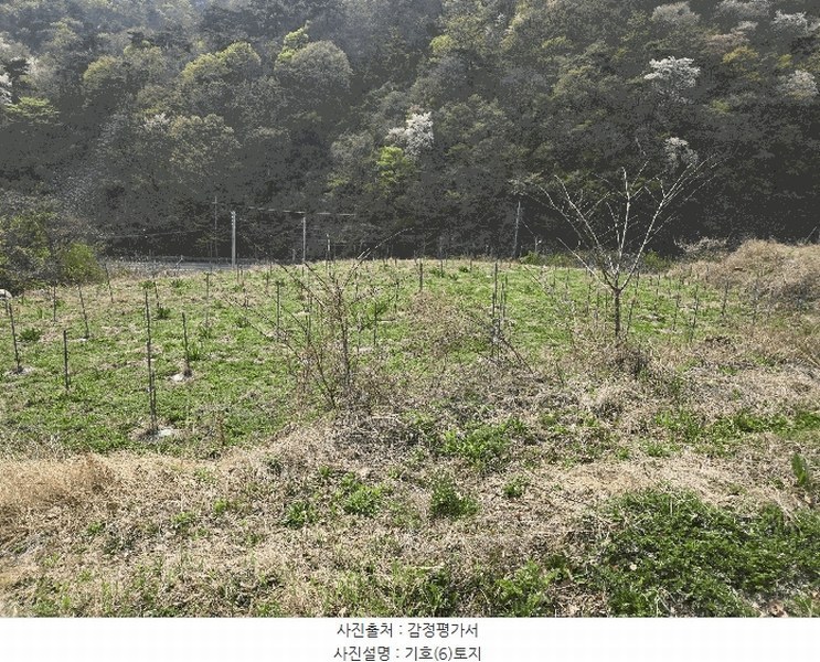 2025타경7609 경상북도 경산시 용성면 매남리 417 농지 경매 이미지
