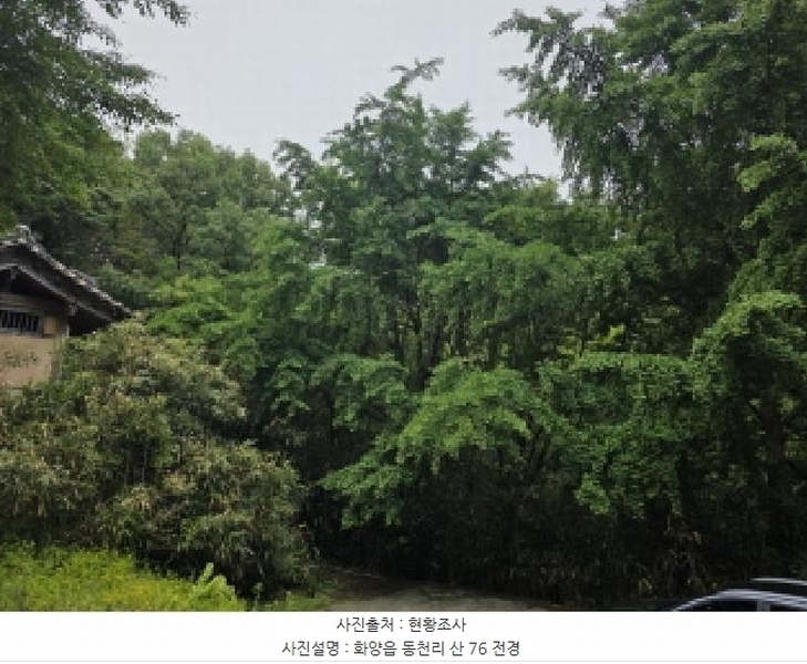 2025타경7775 경상북도 청도군 화양읍 동천리 산76 임야 경매 이미지