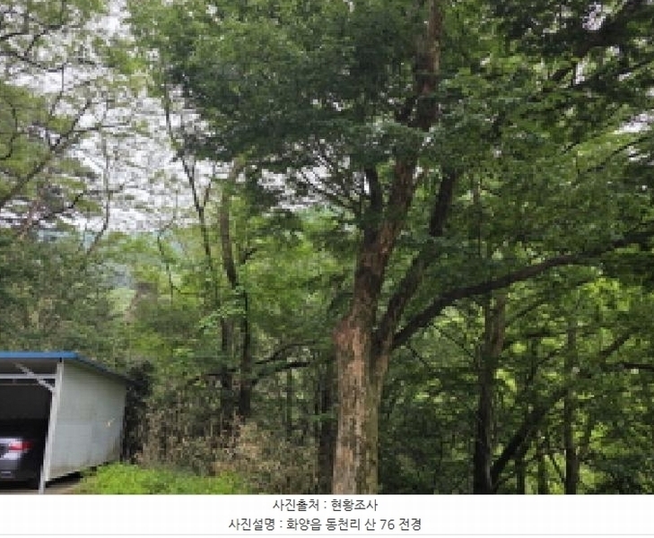 2025타경7775 경상북도 청도군 화양읍 동천리 산76 임야 경매 이미지