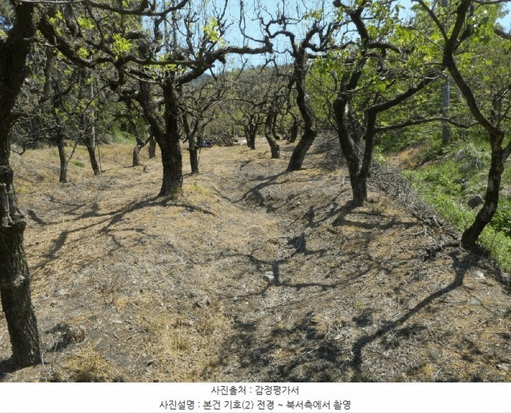 2025타경7873 경상북도 경산시 진량읍 마곡리 287 농지 경매 이미지