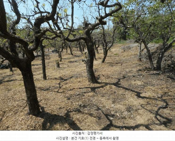 2025타경7873 경상북도 경산시 진량읍 마곡리 287 농지 경매 이미지