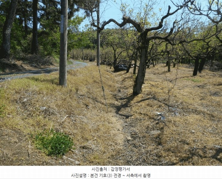 2025타경7873 경상북도 경산시 진량읍 마곡리 287 농지 경매 이미지