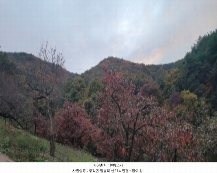 2024타경7871 경상북도 청도군 풍각면 월봉리 산214 임야 경매 이미지