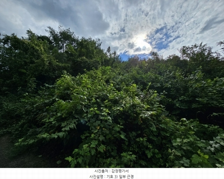 2024타경7871 경상북도 청도군 풍각면 월봉리 산214 임야 경매 이미지