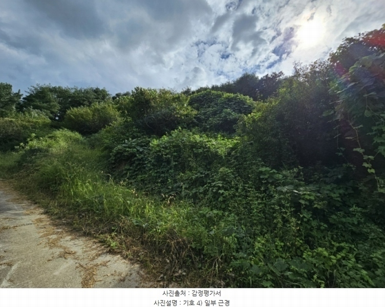 2024타경7871 경상북도 청도군 풍각면 월봉리 산214 임야 경매 이미지