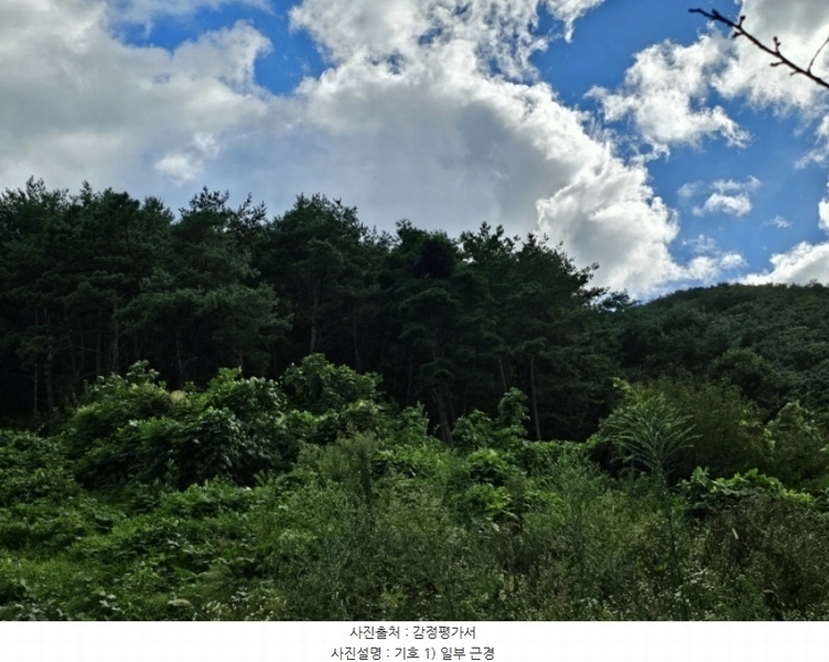 2024타경7871 경상북도 청도군 풍각면 월봉리 산214 임야 경매 이미지