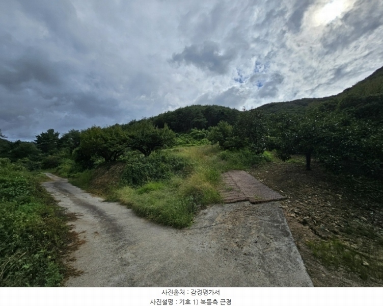 2024타경7871 경상북도 청도군 풍각면 월봉리 산214 임야 경매 이미지