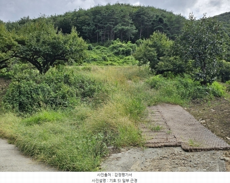 2024타경7871 경상북도 청도군 풍각면 월봉리 산214 임야 경매 이미지