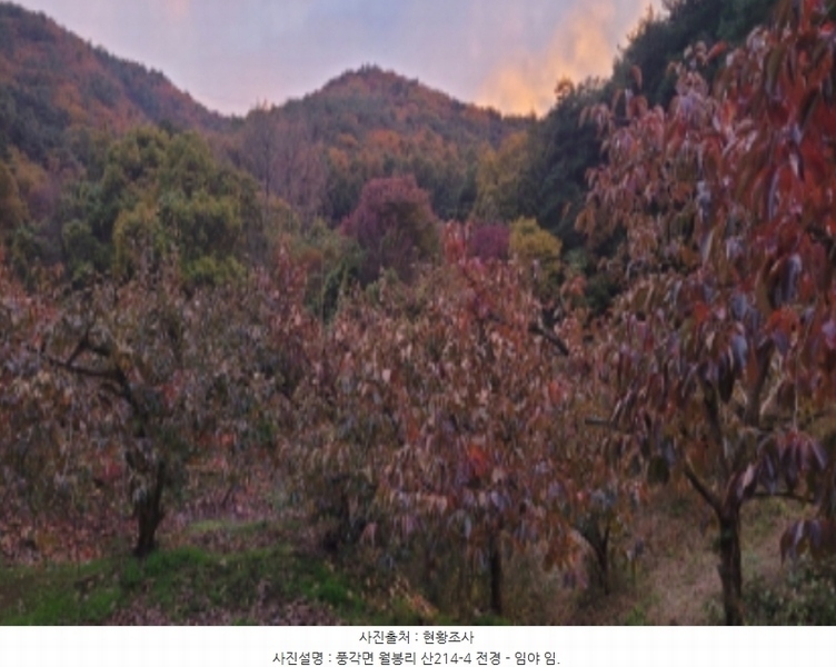 2024타경7871 경상북도 청도군 풍각면 월봉리 산214 임야 경매 이미지